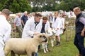 Malton Show 2024